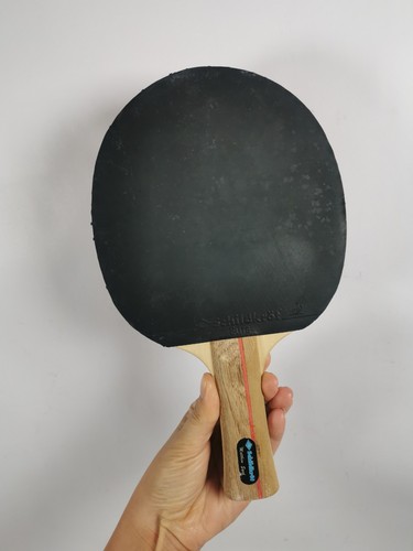 Tischtennisschläger paddel - tischtennisschläger/,